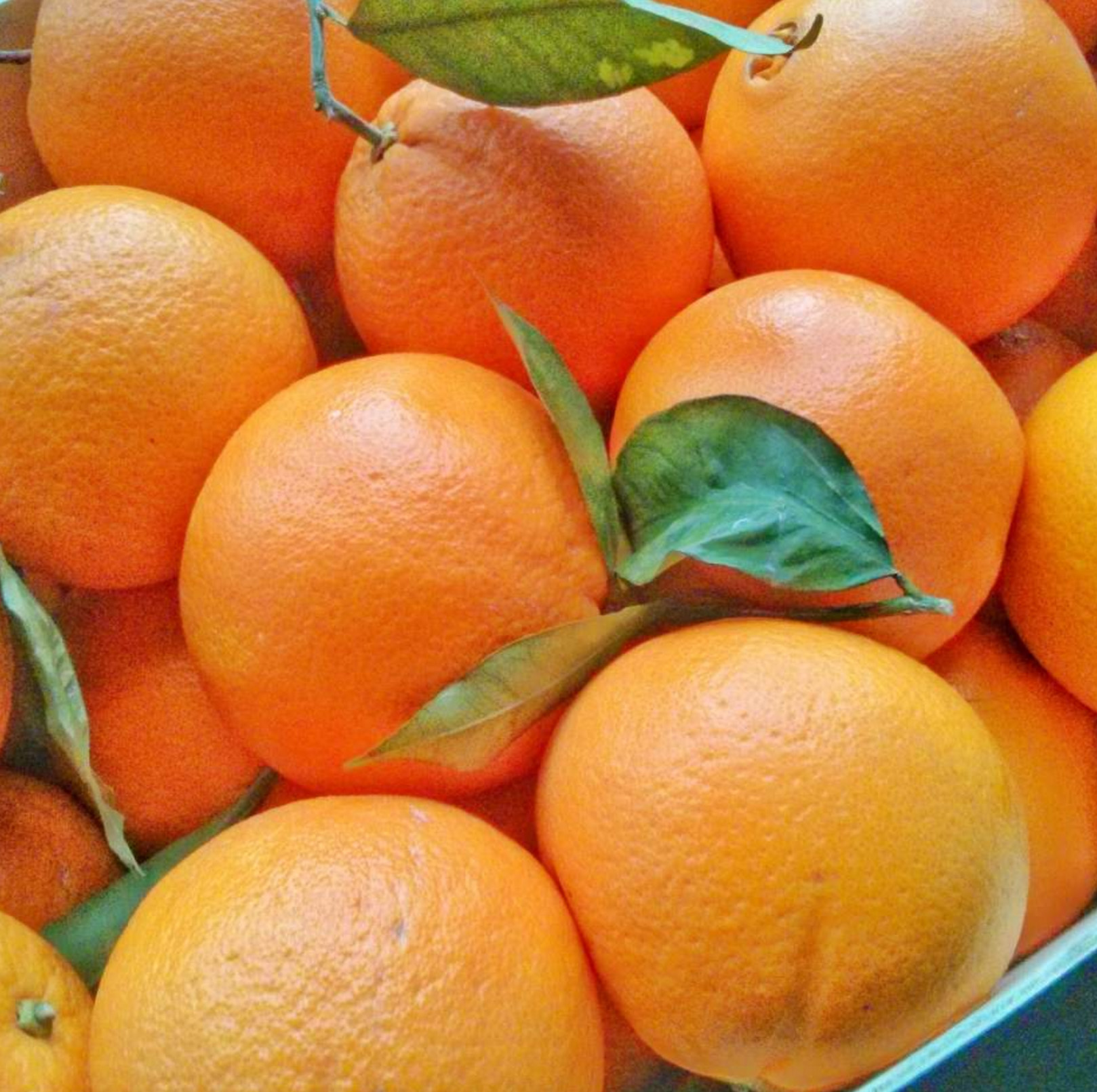 Países pobres exigen normas globales para exportar ciertas frutas tropicales