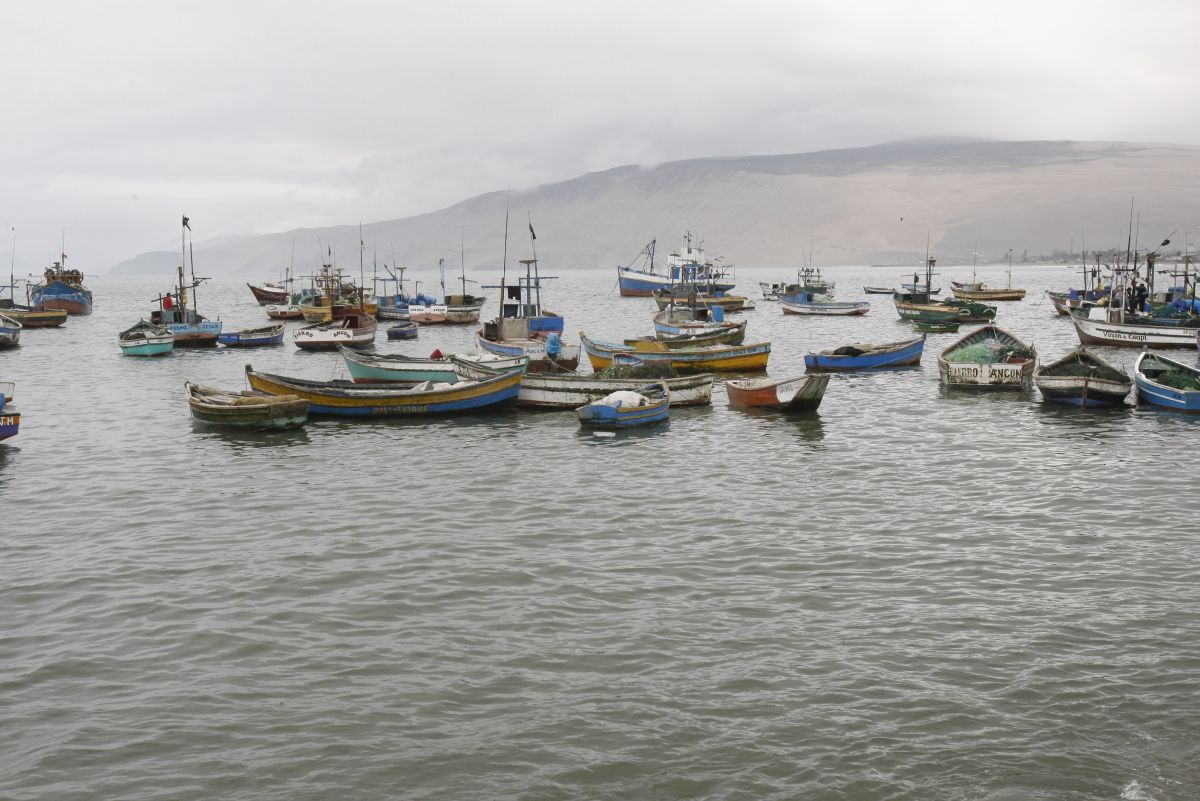 Produce: Proyecto de desembarcadero pesquero en Ancón se iniciará el 2019