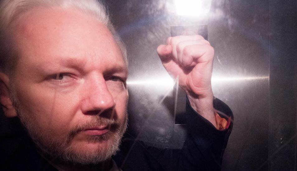 "Julian Assange, el espía espiado", por Virginia Rosas