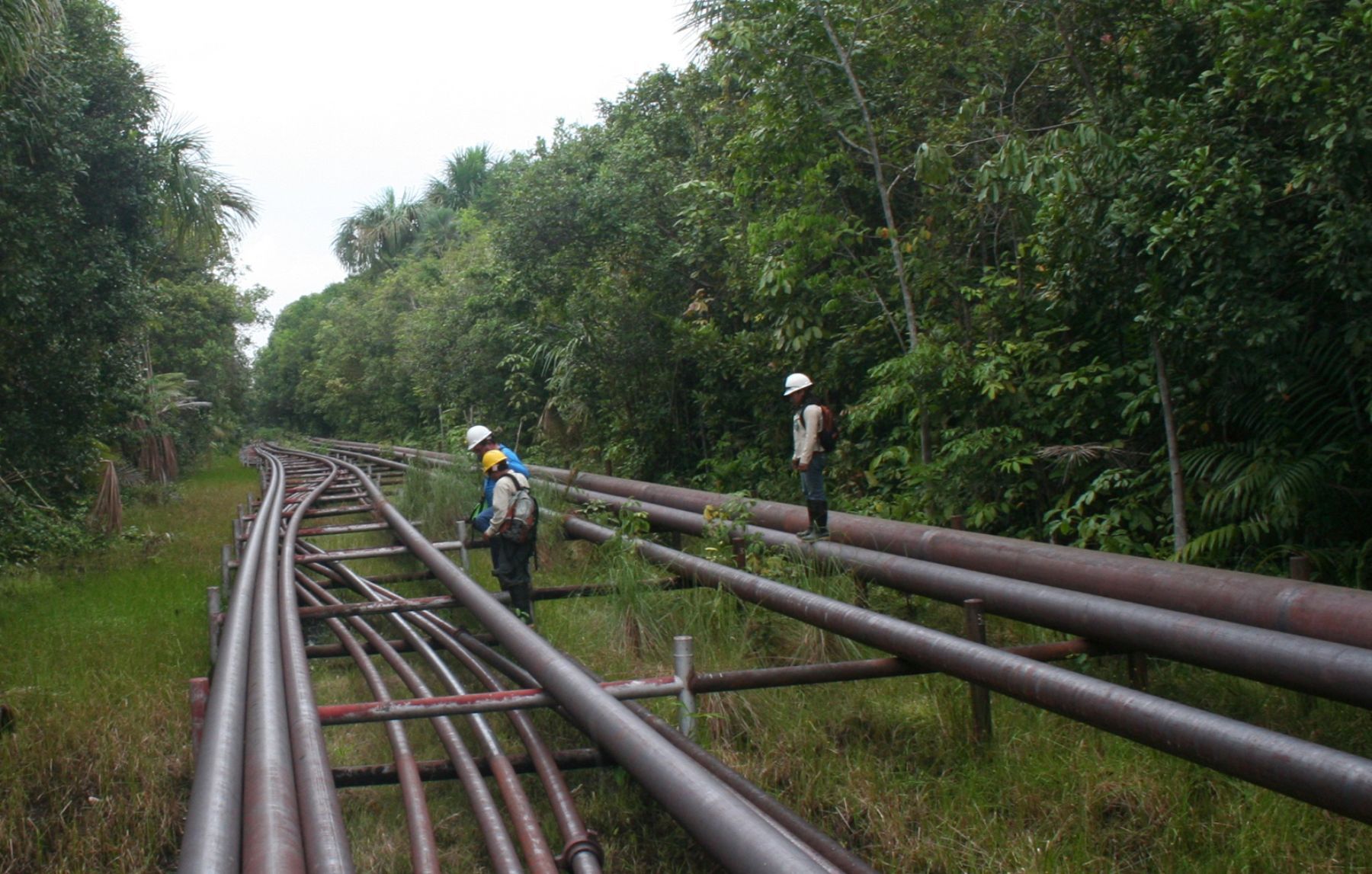 Frontera Energy podría detener producción de petróleo tras corte de oleoducto