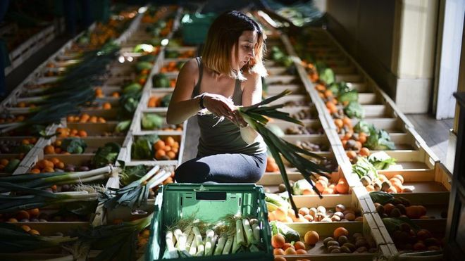 Doce innovaciones para acabar con el desperdicio de comida