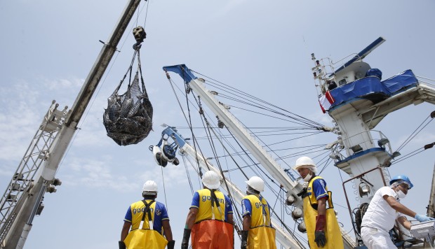 Economía peruana: Hacia un crecimiento de 2,4%