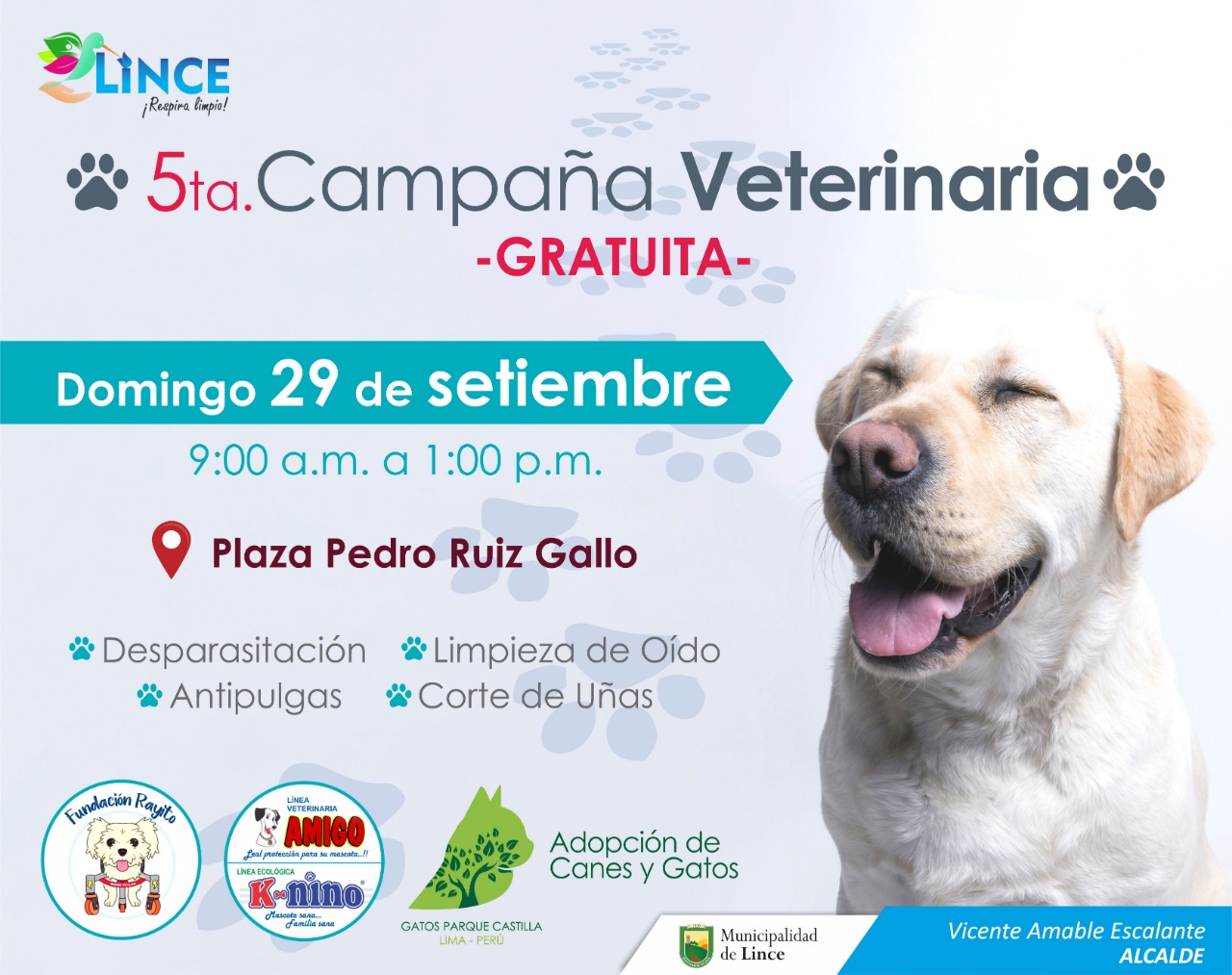 Este evento contará con la presencia de veterinarios experimentados que brindarán los servicios de desparasitación, aplicación antipulgas, corte de uñas, limpieza de oídos. (Foto: Municipalidad de Lince)