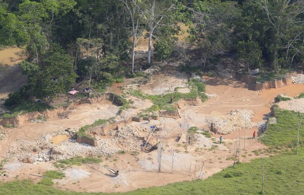 Perú perdió 6 millones de hectáreas de selva virgen amazónica desde hace 17 años