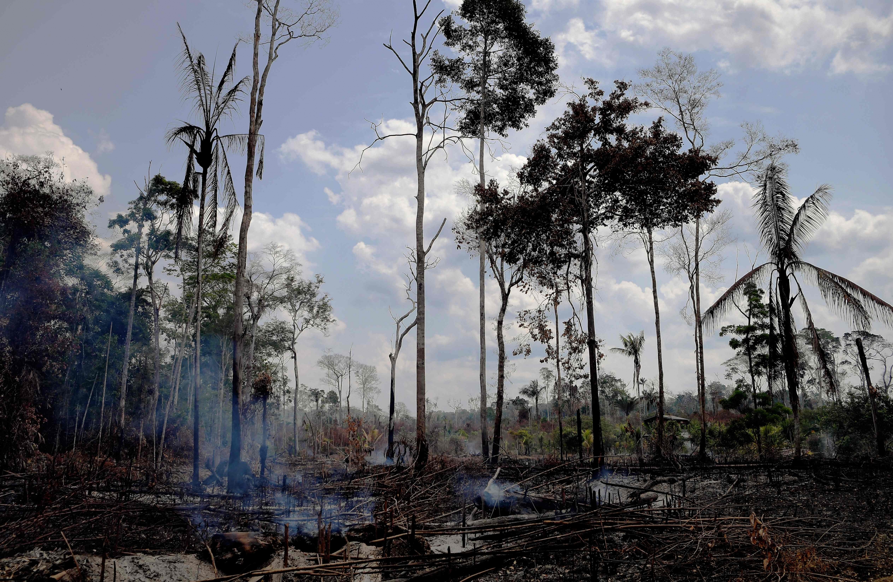 La Amazonía, una de las claves de la estabilidad climática mundial