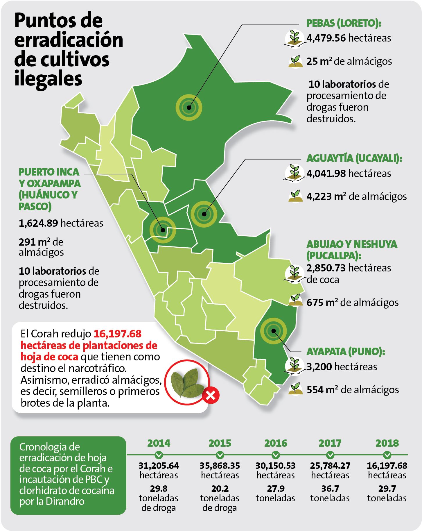 El estudio más reciente de Naciones Unidas revela que los cultivos ilegales crecieron un 14% (Perú21)