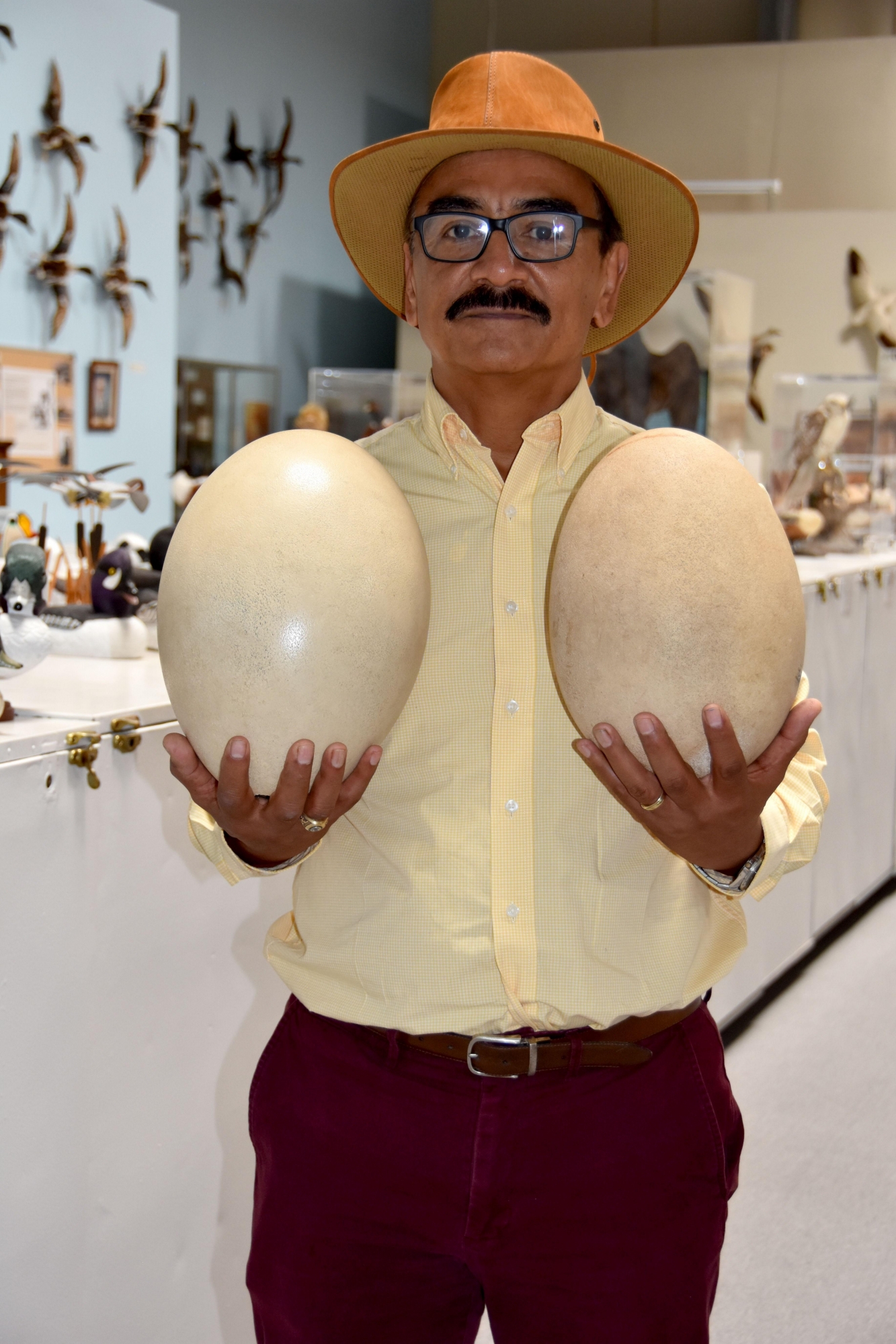 Corado es gerente de la colección de huevos de aves más grande del mundo. (EFE)