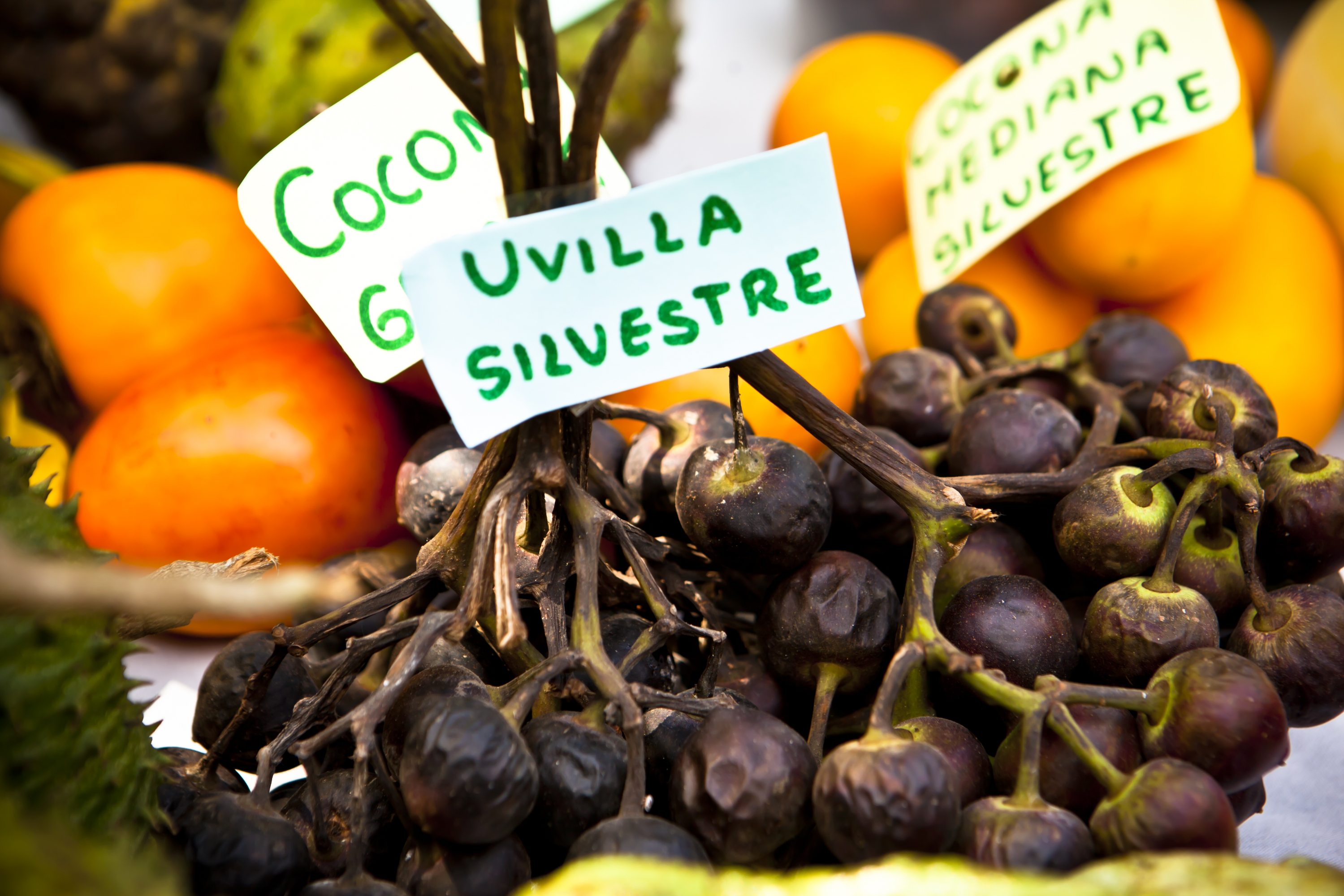 Es recomendable que pruebas las frutas autóctonas, una experiencia única. (Foto: GEC)