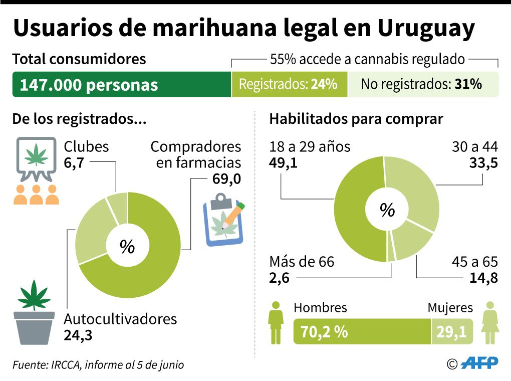 Usuarios de marihuana legal en Uruguay