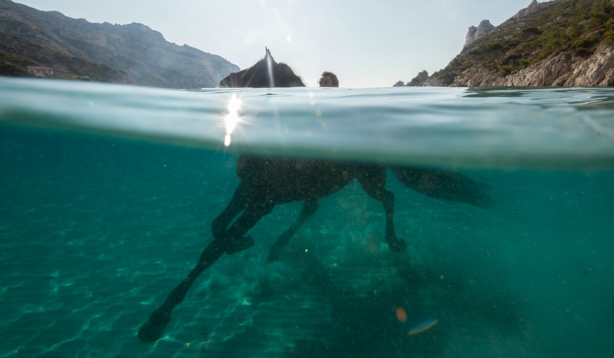 Las fotografías más espectaculares de animales de todo el 2019