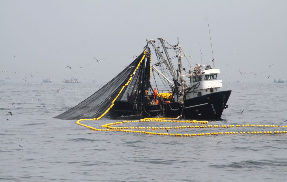 SNP pide a Tribunal Constitucional frenar permisos de pesca vía mandato judicial
