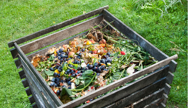 Te enseñamos a hacer tu propio abono casero para tus plantas