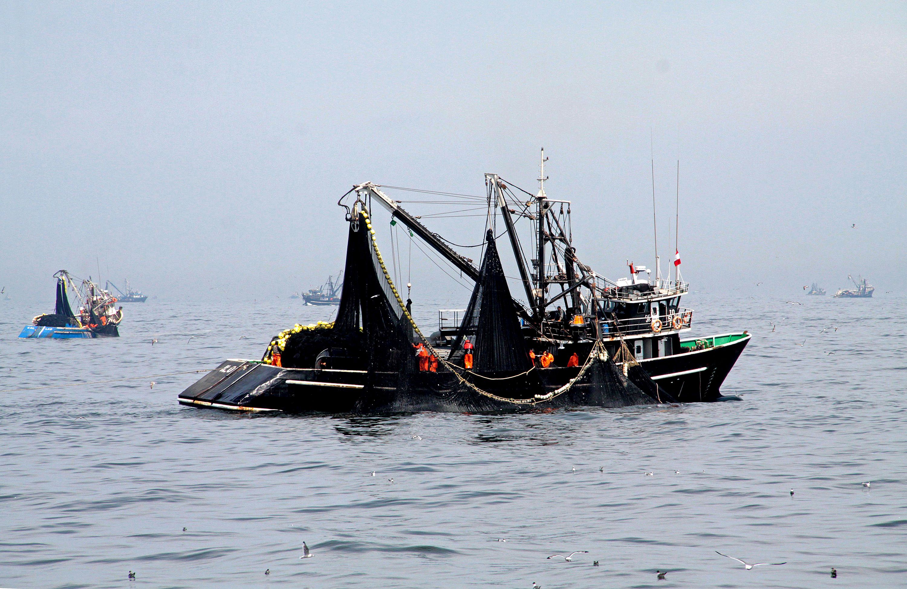 Produce: Se desembarcó 49,33% de cuota de pesca de anchoveta
