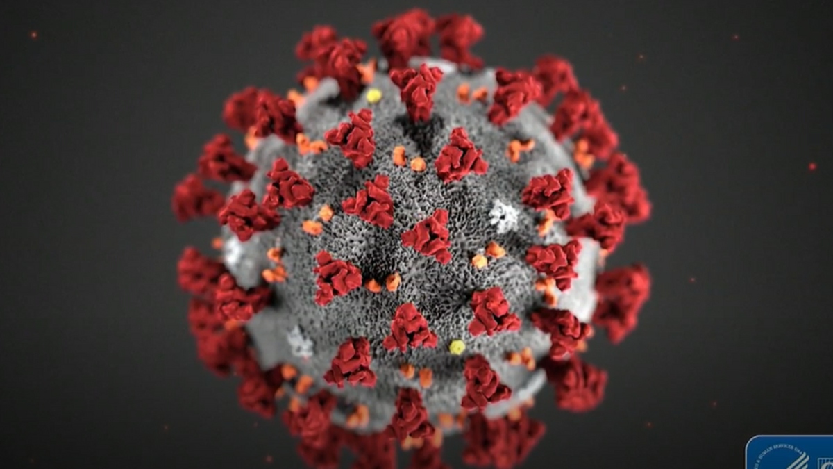 Coronavirus Estados Unidos: Maryland reporta nuevos casos de Covid-19 por código postal