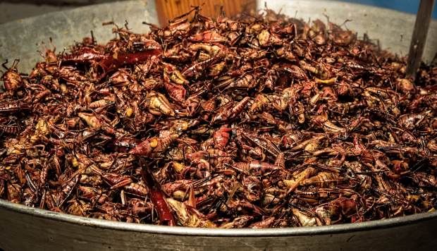 Los chapulines (saltamontes) se cocinan con ajo en el Mercado de San Juan en la Ciudad de México. Es muy consumido en la gastronomía mexicana. (Foto: AFP)