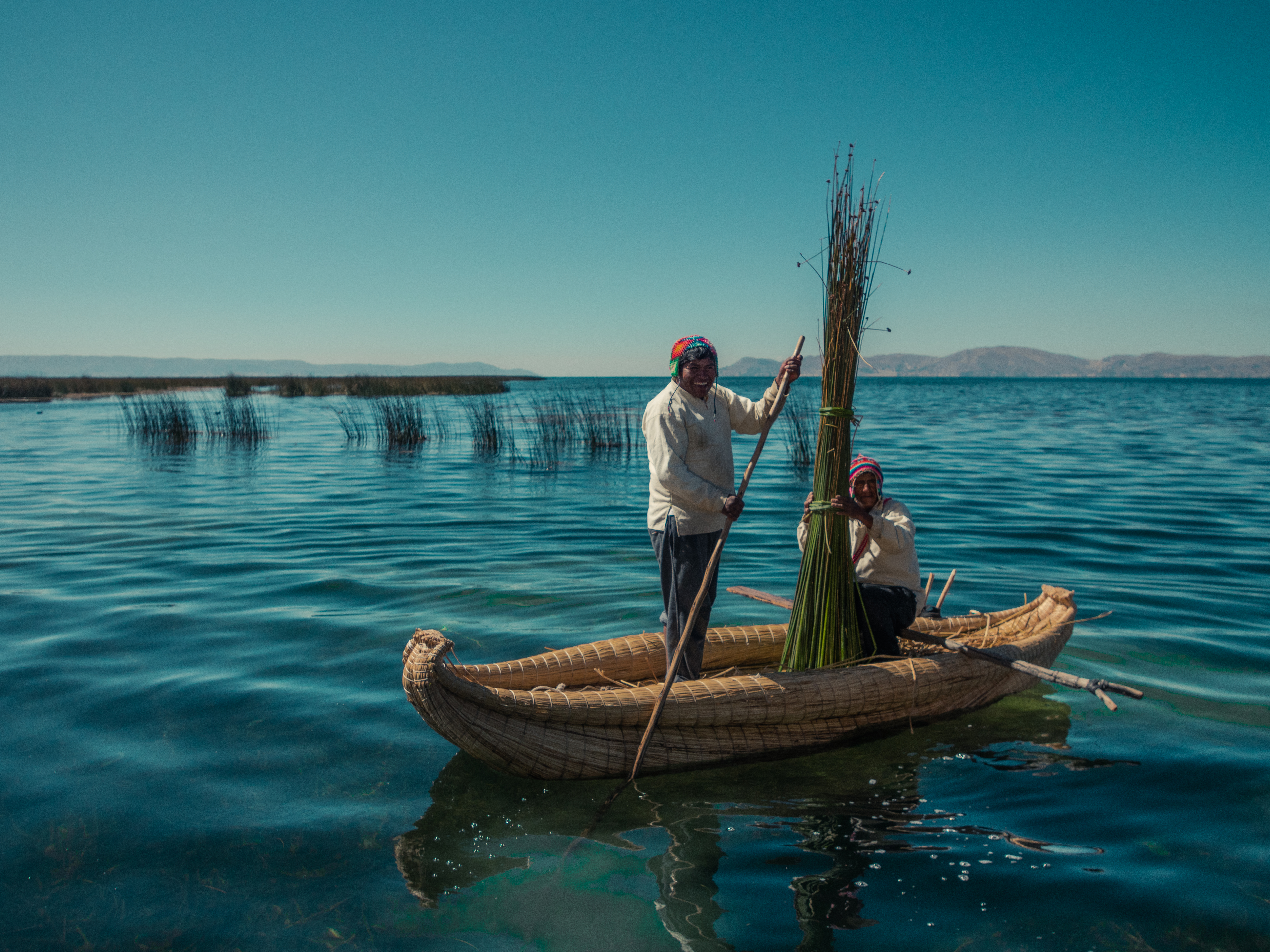 RUTINA DE ALTURA.  Enrique Cuno Canqui, (de pie), representante de la isla Balsero Chimu, recoge totora cada mañana. Es su sustento y un modo de vida ancestral.