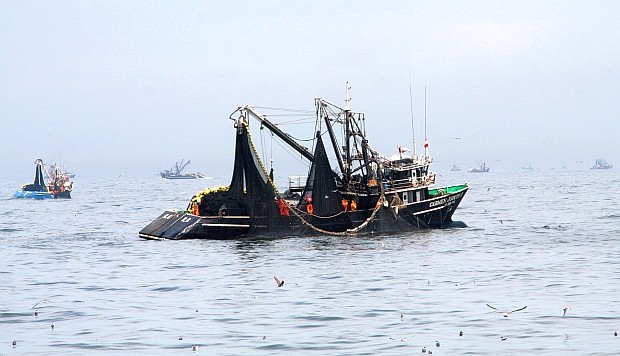 Pesca industrial podría realizarse dentro de las cinco millas en el sur