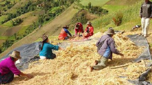 Economía peruana creció 2.81% en enero impulsada por la Construcción que avanzó 7.84%