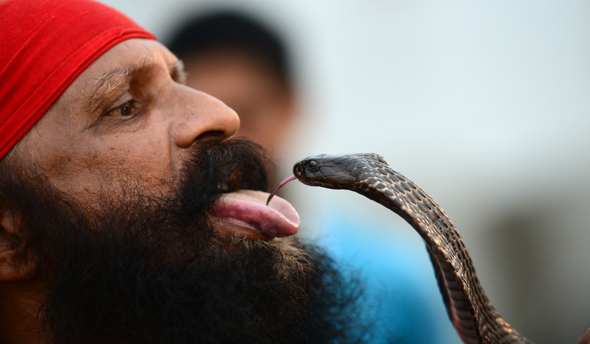 Las fotografías más espectaculares de animales de todo el 2019