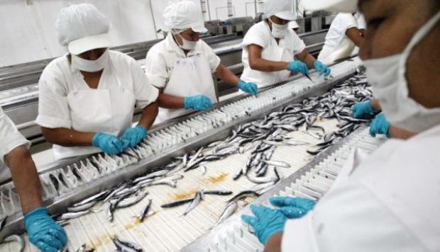 OIT:10% de trabajadores recibe casi la mitad de remuneración mundial