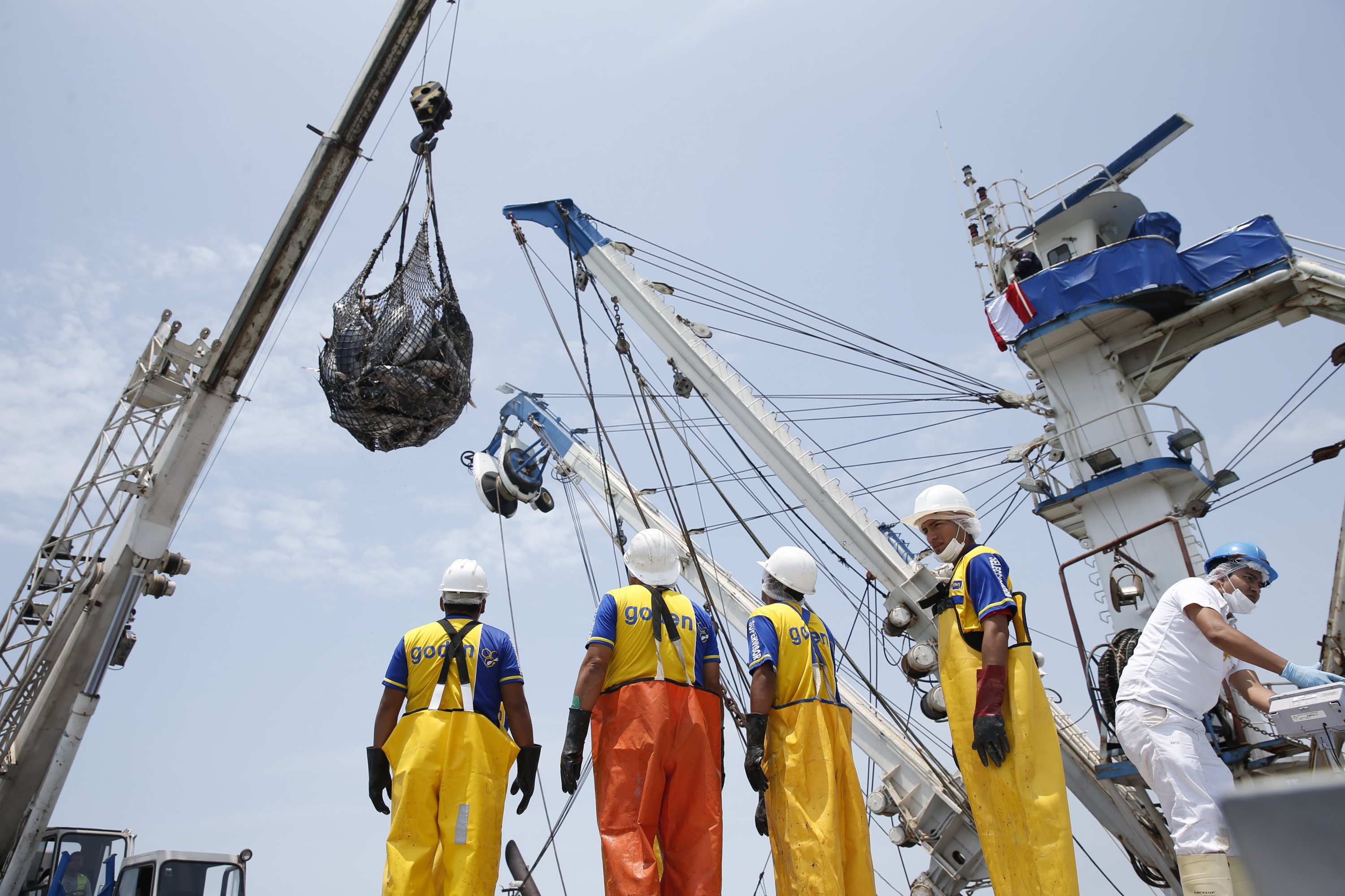Produce suspende la pesca de anchoveta y anchoveta blanca en zona del litoral