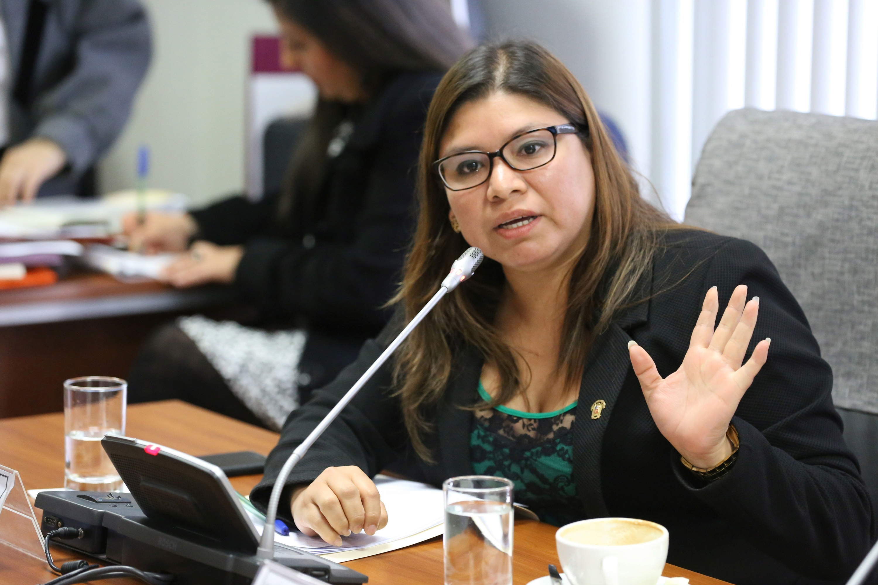 Ex asesores denuncian a Lizbeth Robles por recorte de sueldo