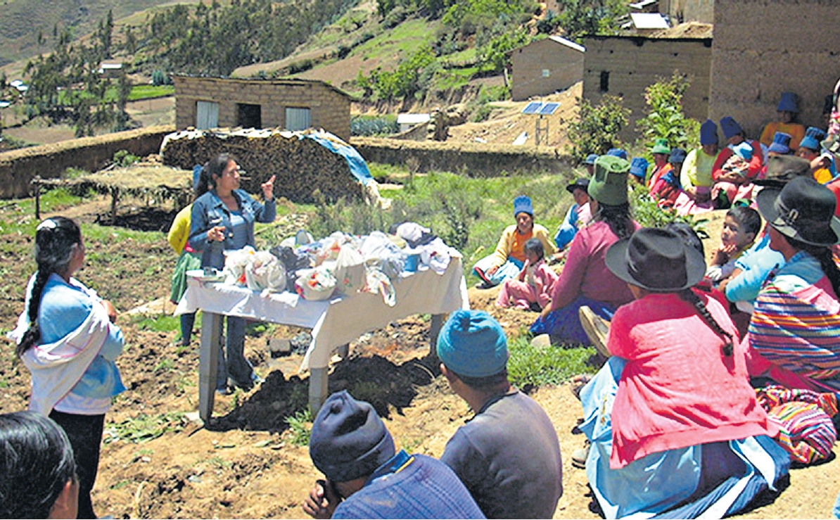 Socios para combatir la anemia en el Perú