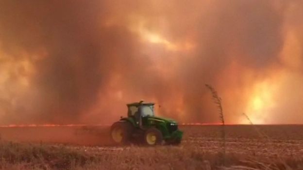 Brasil y los otros países de Sudamérica donde hay incendios récord en el Amazonas