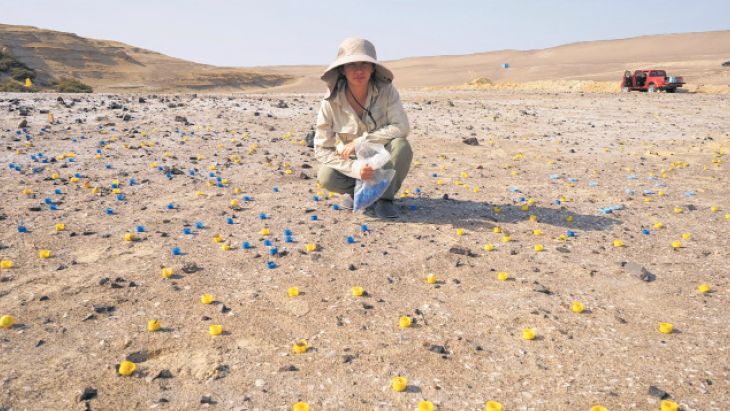 Nuevos hallazgos: la evidencia más antigua conocida sobre habitantes en Paracas