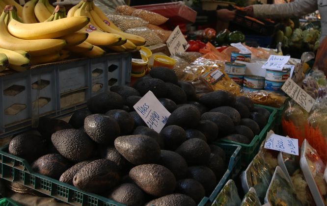 Ola de crímenes ante el auge de la palta llega al campo chileno