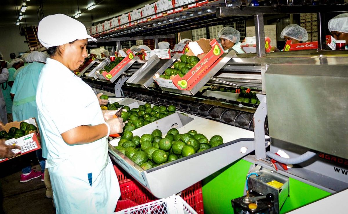 Exportaciones de 14 regiones se consolidarán con implementación de planes regionales