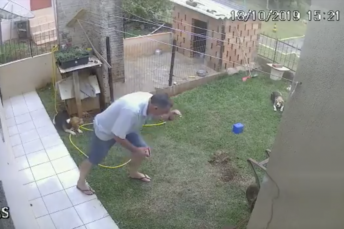 Hombre intenta acabar con plaga de cucarachas y termina explotando su propio jardín