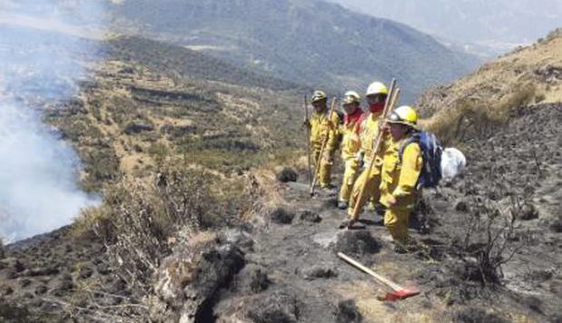 Apurímac: incendio forestal en Santuario Nacional del Ampay fue extinguido