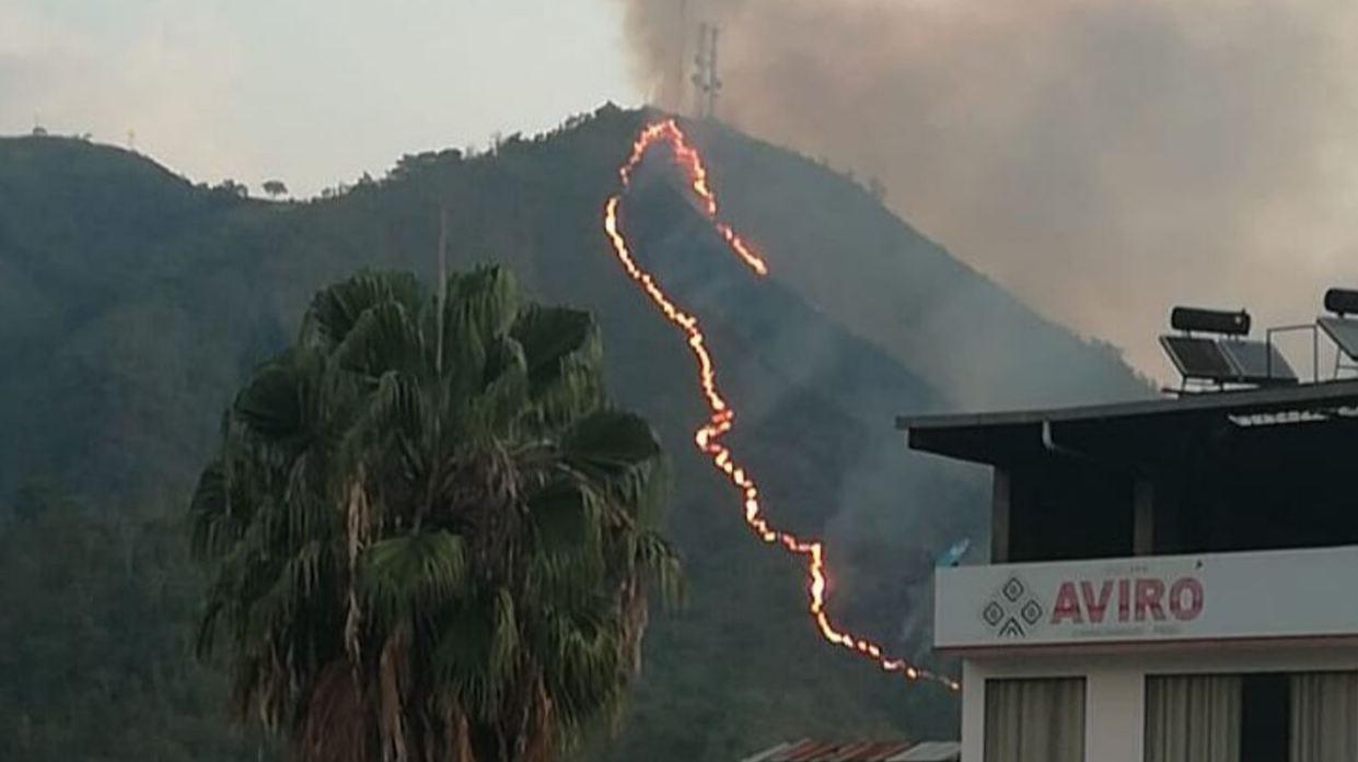 Junín: incendio forestal en Chanchamayo fue extinguido