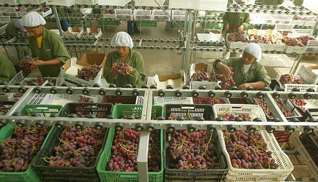 Exportaciones de uva aumentaron 25.8% al sumar US$ 816.4 millones en 2018