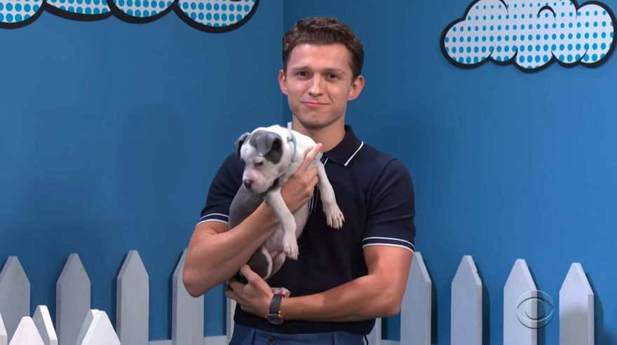 "Spider-Man: Far From Home": Tom Holland ayuda en adopción de perros | VIDEO