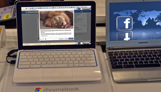 Facebook: Su verdadera posición sobre la propiedad intelectual