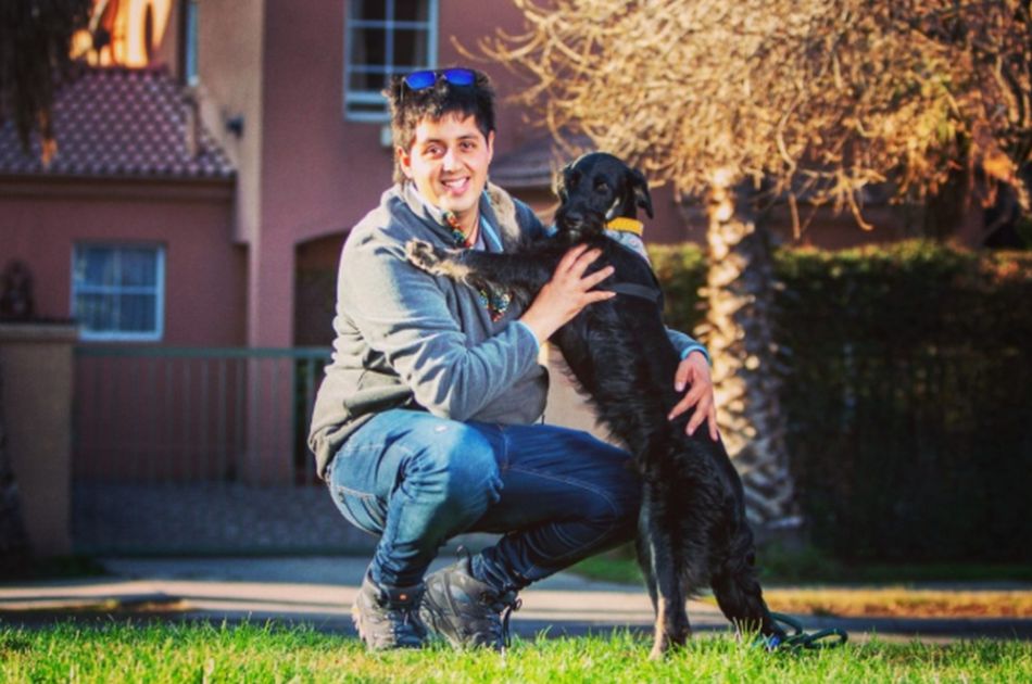 El joven de 25 años ha rescatado casi 600 perros en Chile en menos de una década. (Foto: Facebook Adopciones David Fernández)