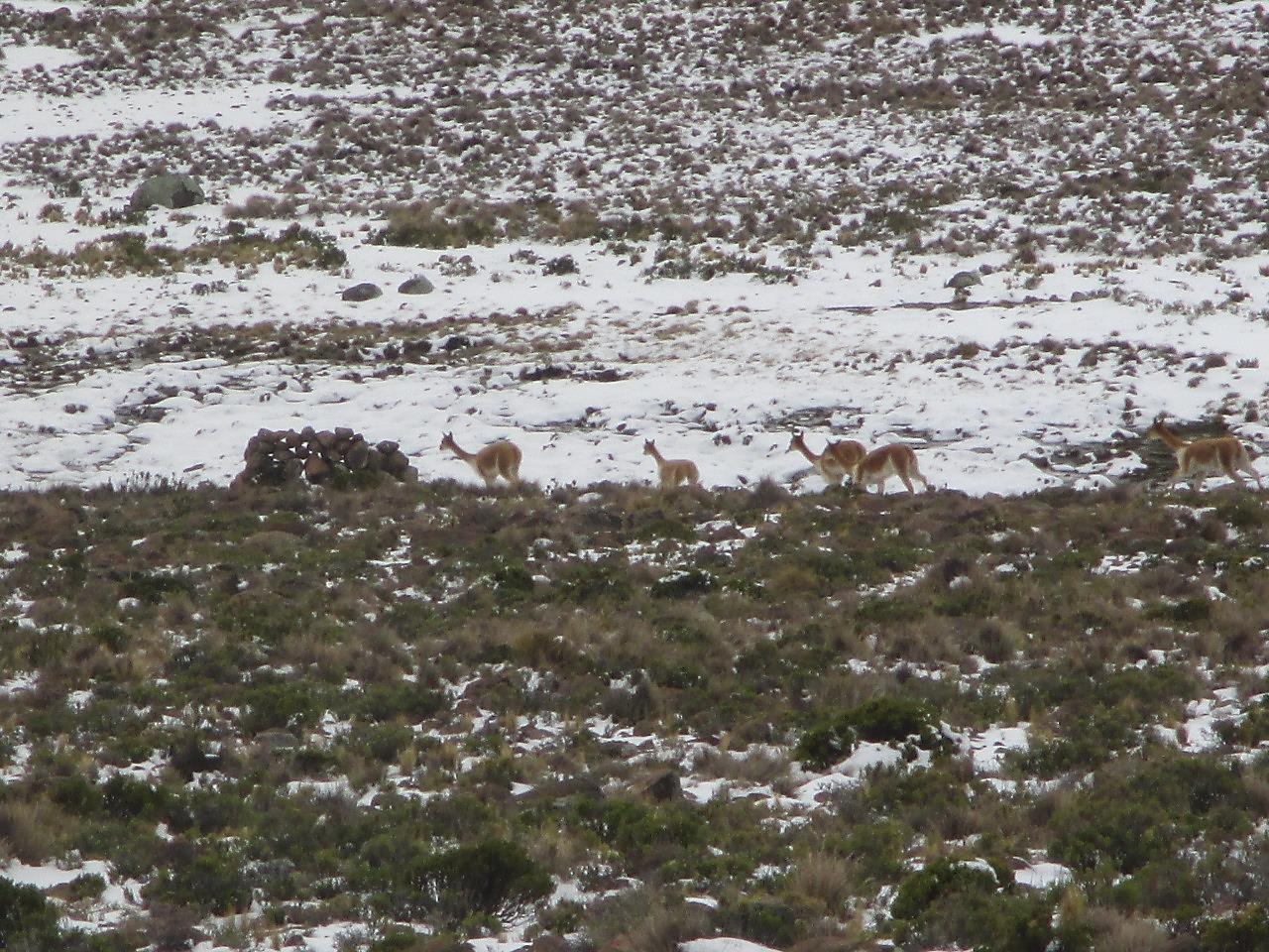 Senamhi prevé descenso de temperatura nocturna en la sierra desde este viernes