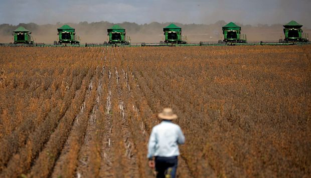OMC da la razón a EE.UU. contra China sobre aranceles por importación de granos