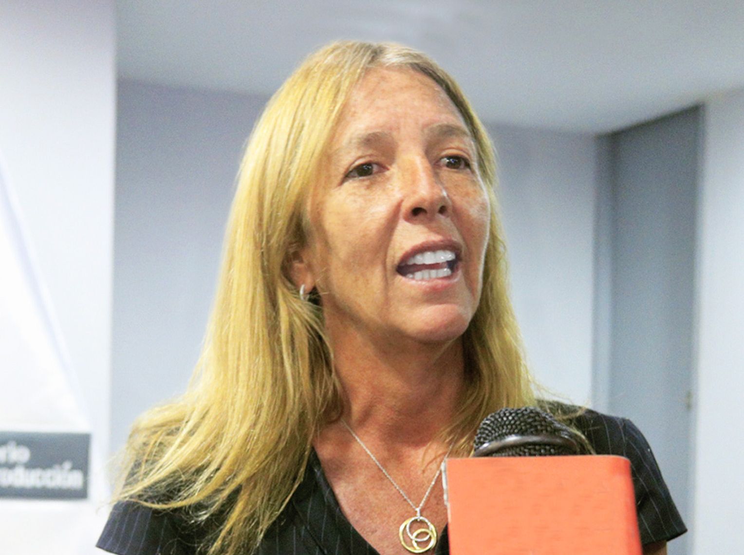 Ministra Lieneke Schol: Industria peruana crecerá 3.7% este año