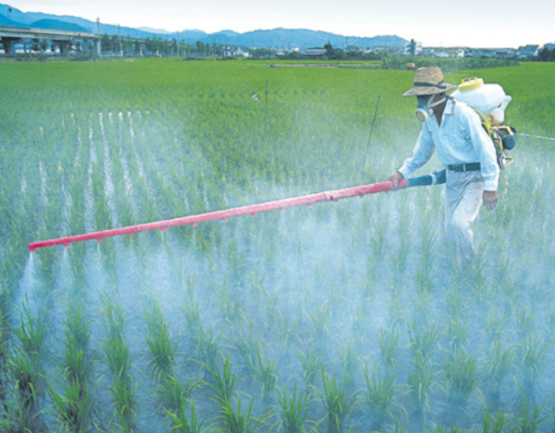 Fertilizantes: La úrea, elquímico mucho más contaminante que el CO2