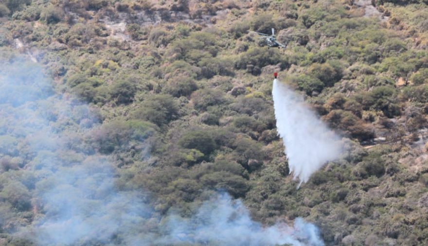 Lambayeque: controlan al 90% incendio forestal en Bosque de Pómac