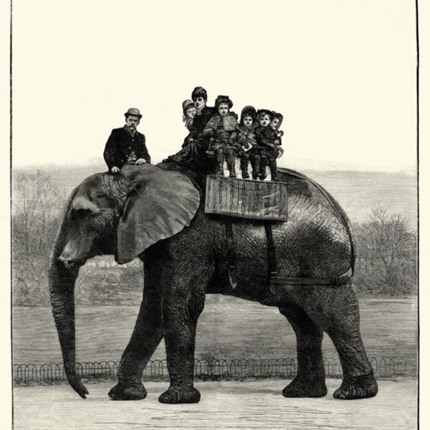 'Jumbo': La triste historia de maltrato del elefante que inspiró a 'Dumbo'. (Wiki Commons)