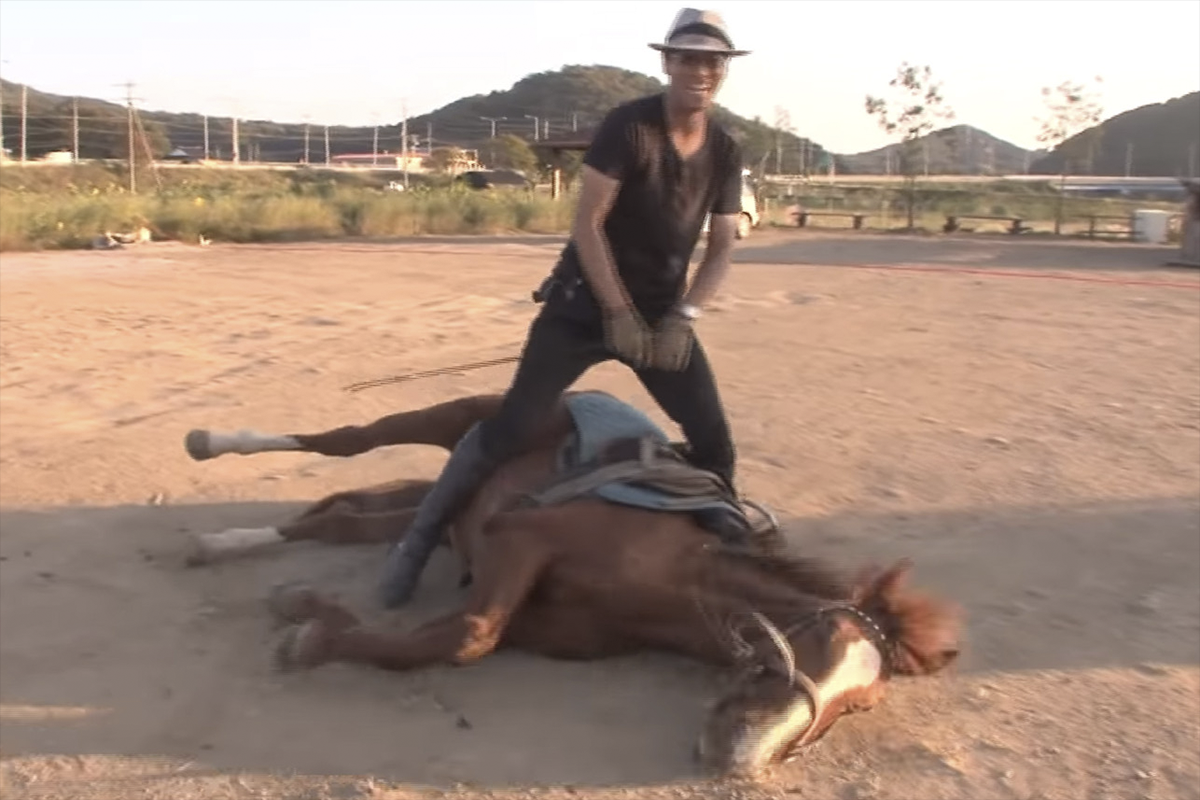 Caballo se 'hace el muerto' cada vez que alguien lo quiere montar